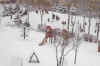 Winterbild